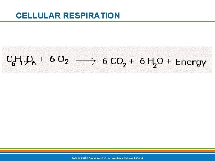 CELLULAR RESPIRATION Copyright © 2009 Pearson Education, Inc. , publishing as Benjamin Cummings 