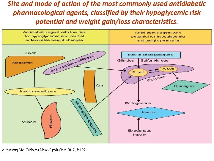Site and mode of action of the most commonly used antidiabetic pharmacological agents, classified