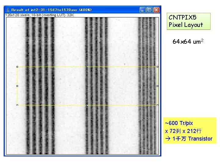 CNTPIX 5 Pixel Layout 64 x 64 um 2 ~600 Tr/pix x 72列 x