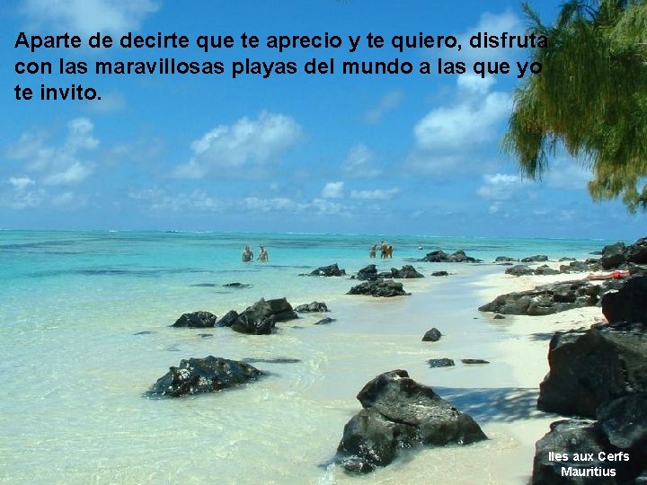 Aparte de decirte que te aprecio y te quiero, disfruta con las maravillosas playas