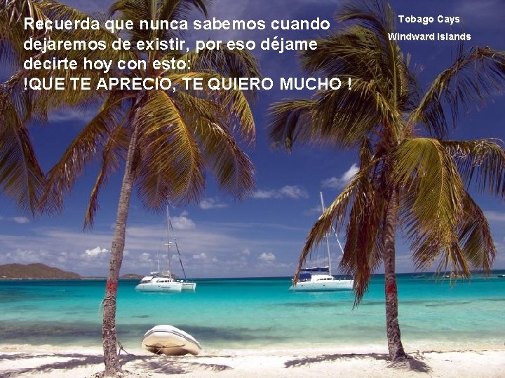 Recuerda que nunca sabemos cuando dejaremos de existir, por eso déjame decirte hoy con