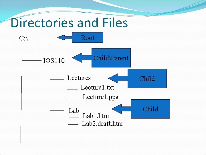 Directories and Files Root C:  ChildParent IOS 110 Lectures Lecture 1. txt Lecture