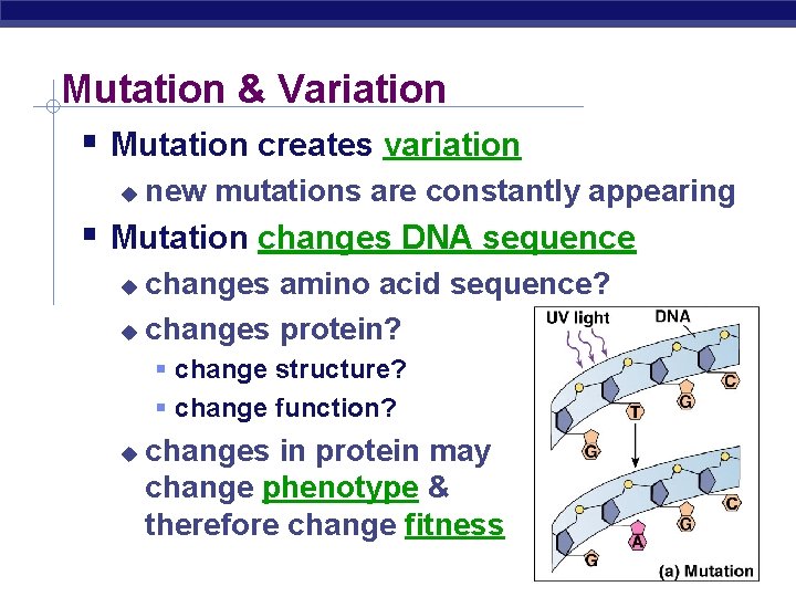 Mutation & Variation Mutation creates variation new mutations are constantly appearing Mutation changes DNA