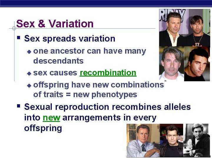 Sex & Variation Sex spreads variation one ancestor can have many descendants sex causes