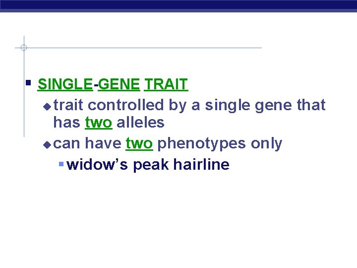  SINGLE-GENE TRAIT trait controlled by a single gene that has two alleles can