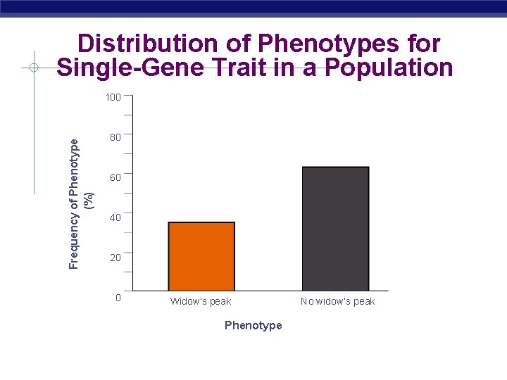  Distribution of Phenotypes for Single-Gene Trait in a Population Frequency of Phenotype (%)