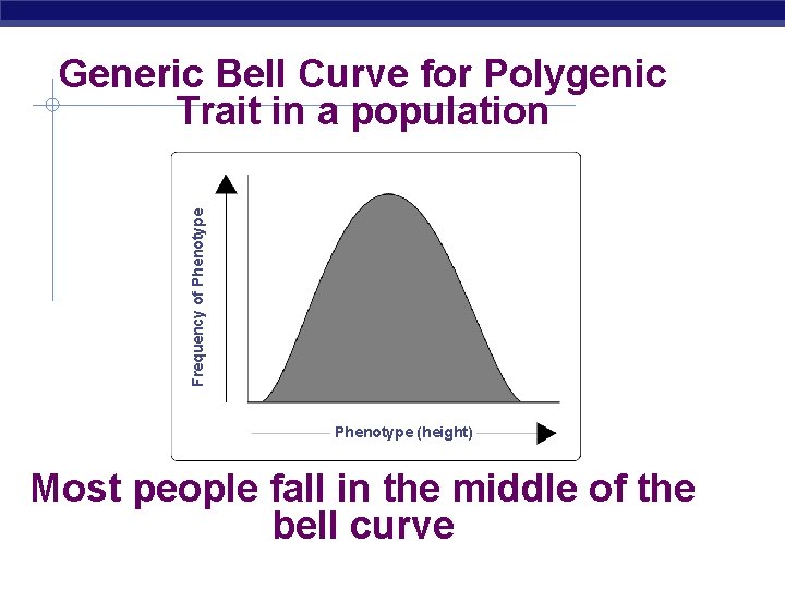 Frequency of Phenotype Generic Bell Curve for Polygenic Trait in a population Phenotype (height)