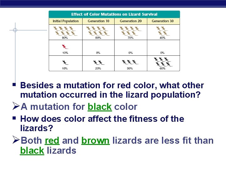  Besides a mutation for red color, what other mutation occurred in the lizard