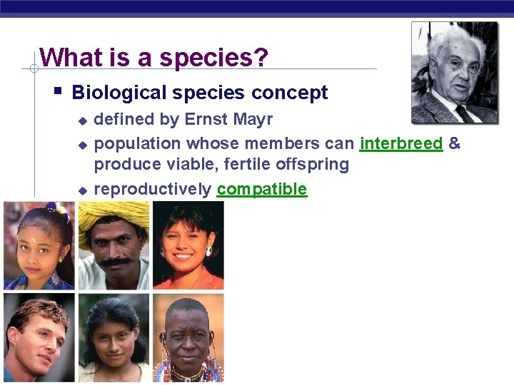 What is a species? Biological species concept defined by Ernst Mayr population whose members