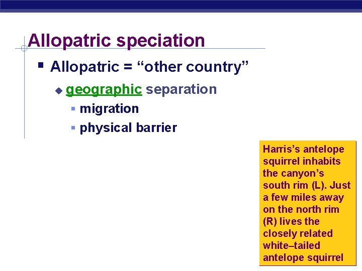 Allopatric speciation Allopatric = “other country” geographic separation migration physical barrier Harris’s antelope squirrel