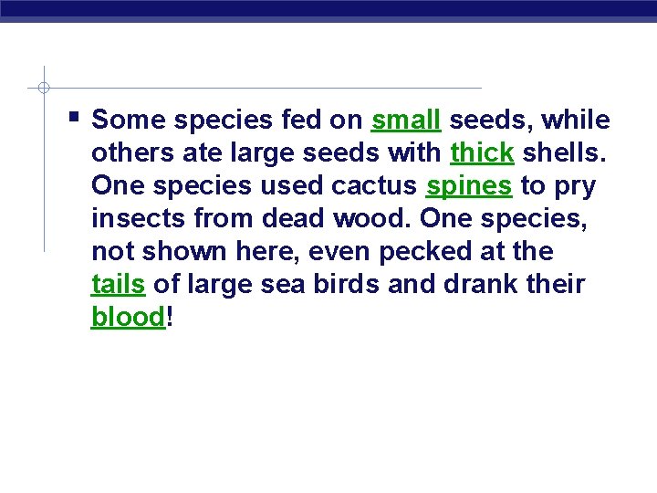  Some species fed on small seeds, while others ate large seeds with thick