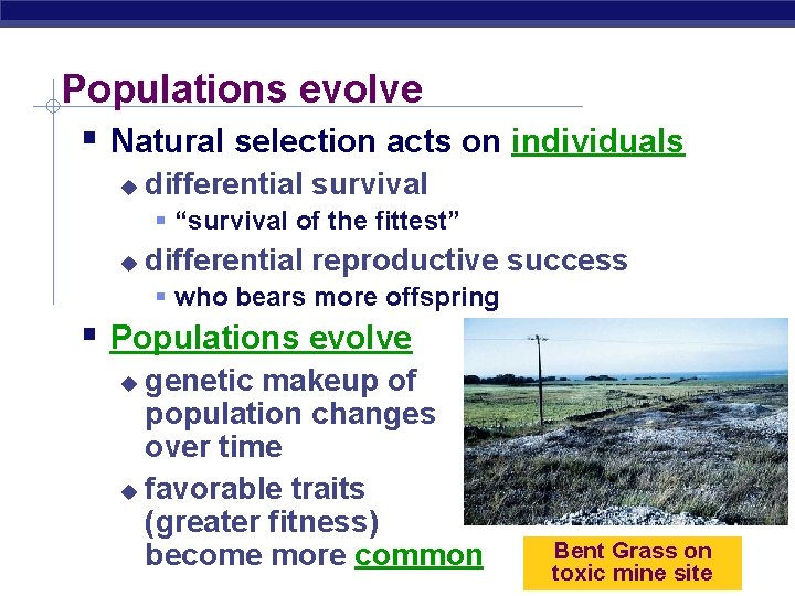 Populations evolve Natural selection acts on individuals differential survival “survival of the fittest” differential