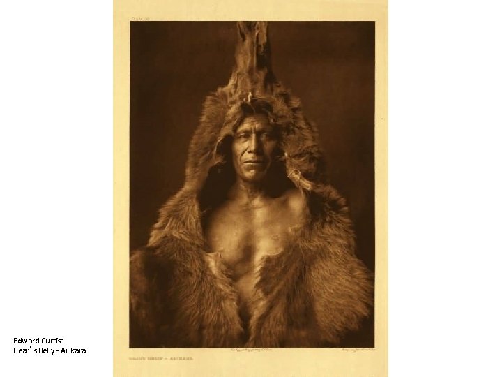 Edward Curtis: Bear’s Belly - Arikara 
