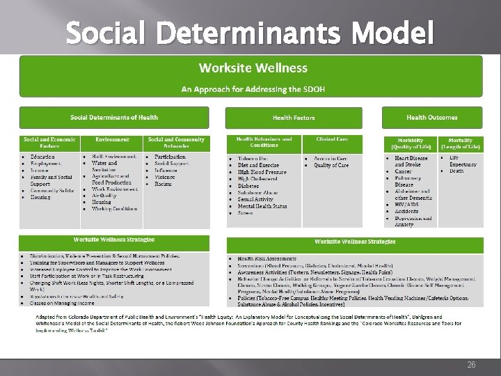 Social Determinants Model 26 