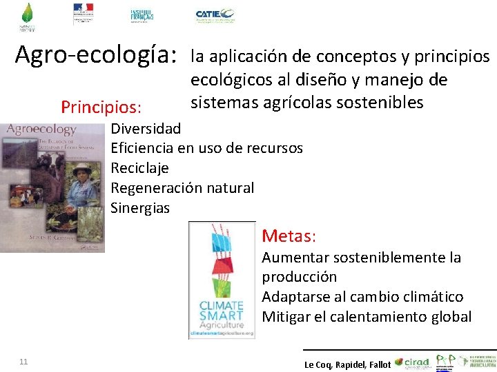 Agro-ecología: Principios: la aplicación de conceptos y principios ecológicos al diseño y manejo de