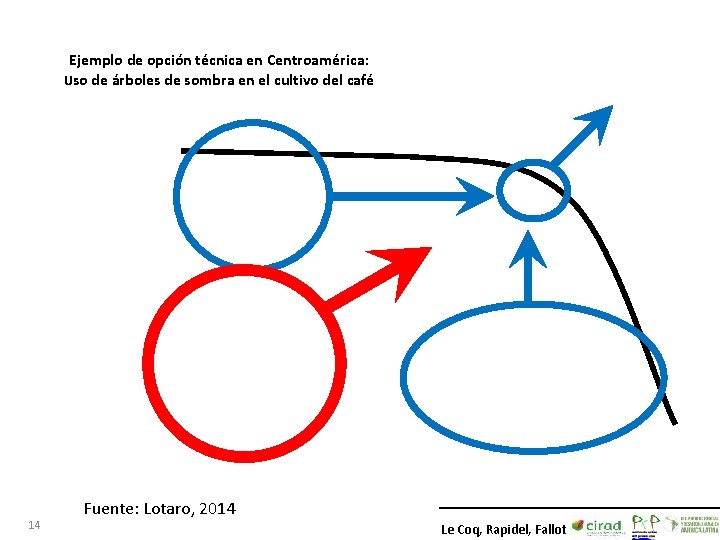 Ejemplo de opción técnica en Centroamérica: Uso de árboles de sombra en el cultivo Ejemplo de opción técnica en Centroamérica: Uso de árboles de sombra en el cultivo