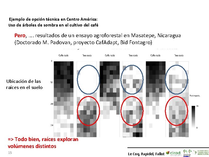 Ejemplo de opción técnica en Centro América: Uso de árboles de sombra en el