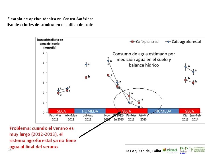 Ejemplo de opcion técnica en Centro América: Uso de árboles de sombra en el