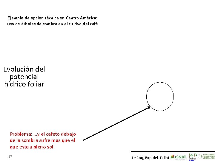 Ejemplo de opcion técnica en Centro América: Uso de árboles de sombra en el