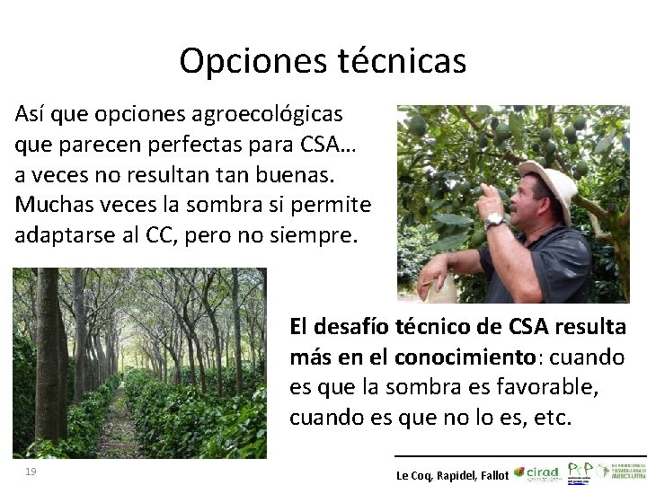 Opciones técnicas Así que opciones agroecológicas que parecen perfectas para CSA… a veces no