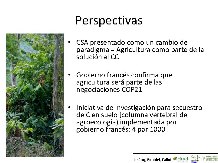 Perspectivas • CSA presentado como un cambio de paradigma = Agricultura como parte de Perspectivas • CSA presentado como un cambio de paradigma = Agricultura como parte de