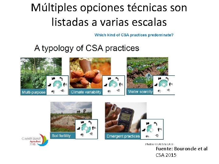 Múltiples opciones técnicas son listadas a varias escalas • Escala de la parcela •