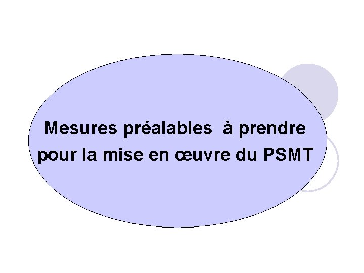 Mesures préalables à prendre pour la mise en œuvre du PSMT 