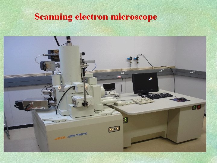 Scanning electron microscope 