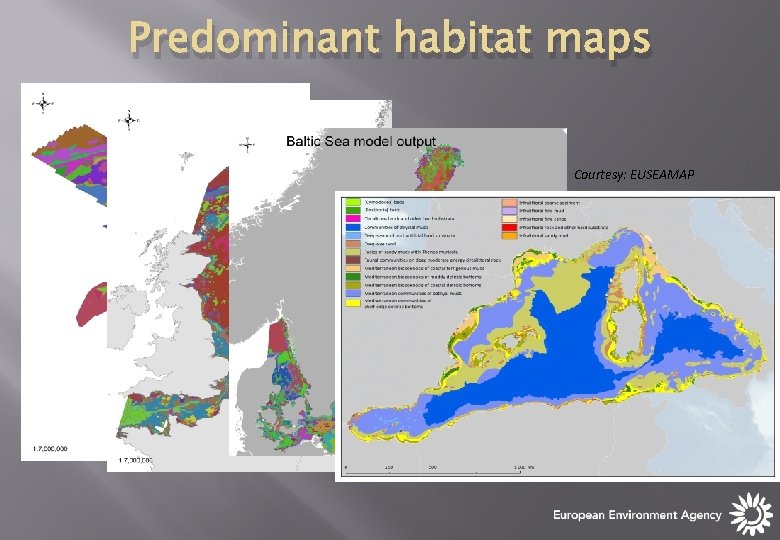 Predominant habitat maps Courtesy: EUSEAMAP Predominant habitat maps Courtesy: EUSEAMAP