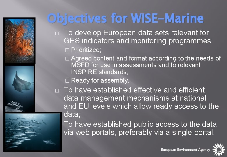 Objectives for WISE-Marine � To develop European data sets relevant for GES indicators and Objectives for WISE-Marine � To develop European data sets relevant for GES indicators and