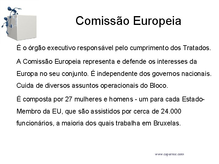 Comissão Europeia É o órgão executivo responsável pelo cumprimento dos Tratados. A Comissão Europeia