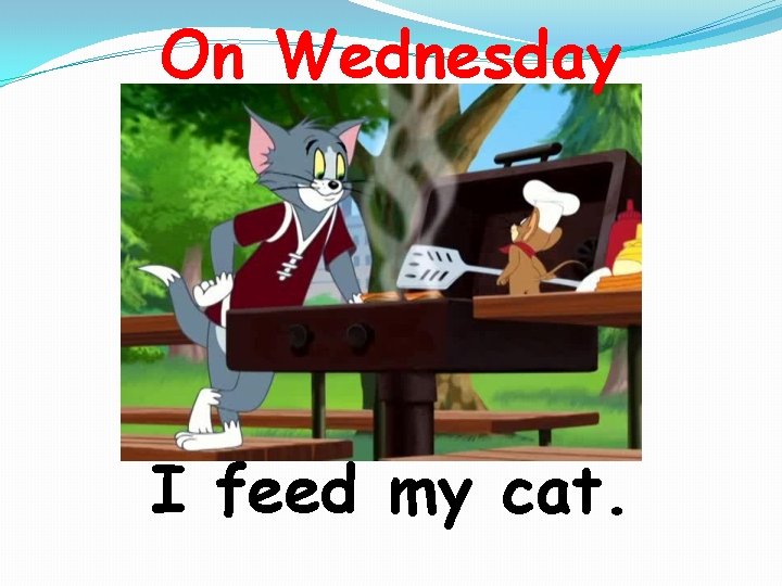 On Wednesday I feed my cat. 