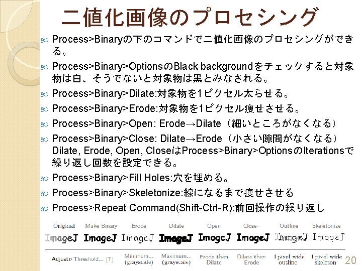 二値化画像のプロセシング Process>Binaryの下のコマンドで二値化画像のプロセシングができ る。 Process>Binary>OptionsのBlack backgroundをチェックすると対象 物は白、そうでないと対象物は黒とみなされる。 Process>Binary>Dilate: 対象物を 1ピクセル太らせる。 Process>Binary>Erode: 対象物を 1ピクセル痩せさせる。 Process>Binary>Open: Erode→Dilate（細いところがなくなる）