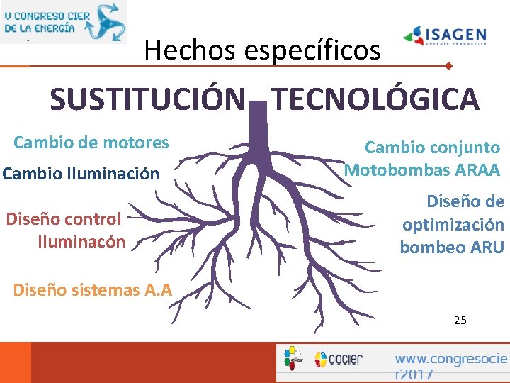 Hechos específicos SUSTITUCIÓN TECNOLÓGICA Cambio de motores Cambio Iluminación Diseño control Iluminacón Cambio conjunto