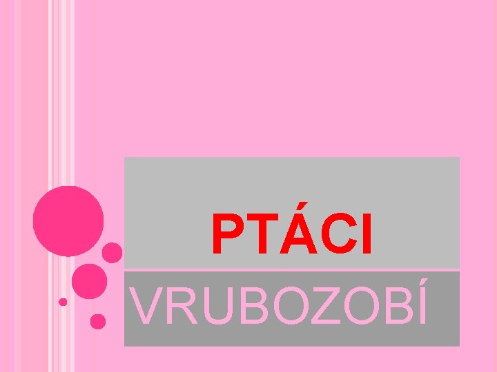 PTÁCI VRUBOZOBÍ 
