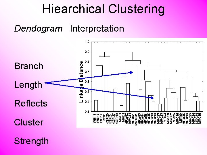 Hiearchical Clustering Dendogram Interpretation Branch Length Reflects Cluster Strength 