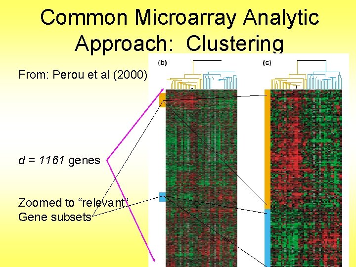 Common Microarray Analytic Approach: Clustering From: Perou et al (2000) d = 1161 genes