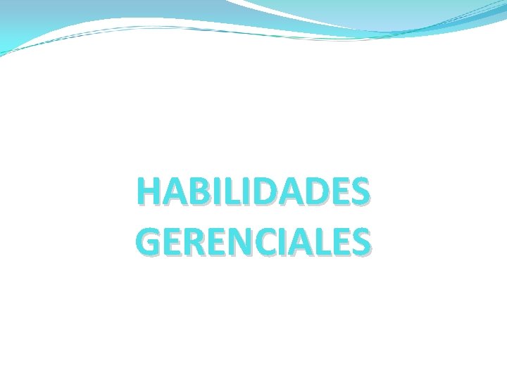 HABILIDADES GERENCIALES 