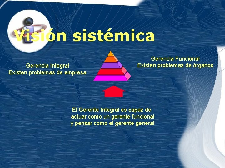 Visión sistémica Gerencia Integral Existen problemas de empresa Gerencia Funcional Existen problemas de órganos