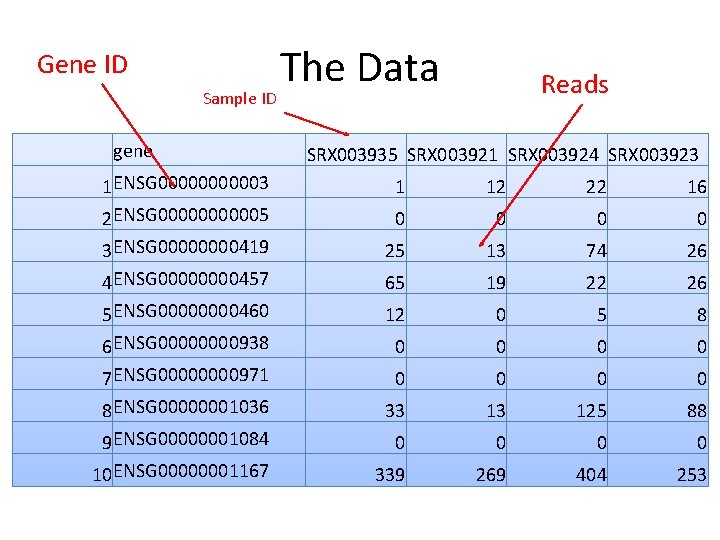 Gene ID Sample ID gene The Data Reads SRX 003935 SRX 003921 SRX 003924