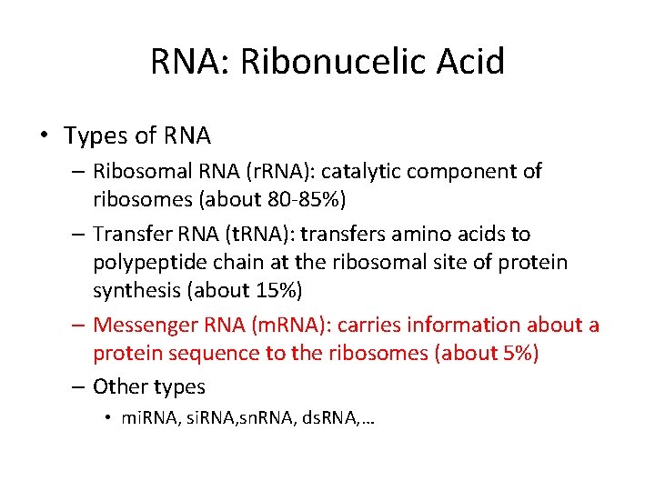 RNA: Ribonucelic Acid • Types of RNA – Ribosomal RNA (r. RNA): catalytic component