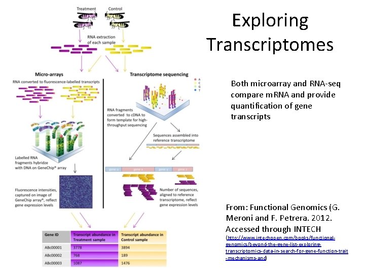 Exploring Transcriptomes Both microarray and RNA-seq compare m. RNA and provide quantification of gene