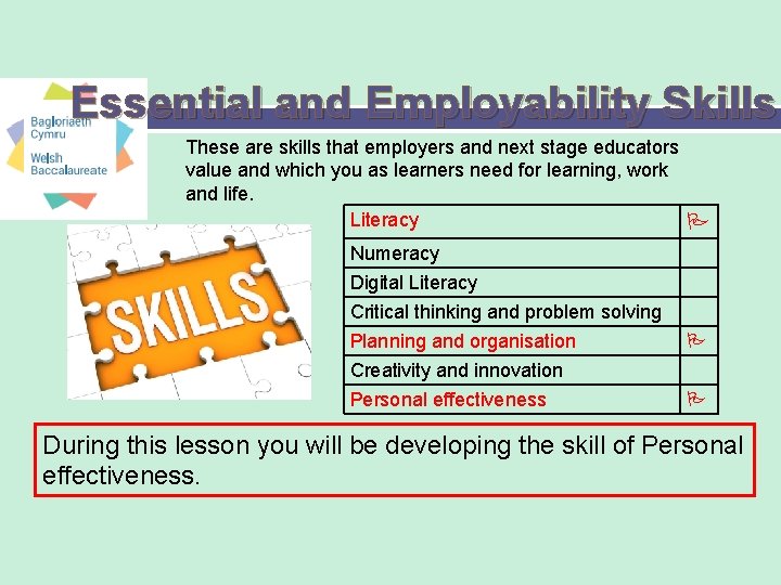 Essential and Employability Skills These are skills that employers and next stage educators value