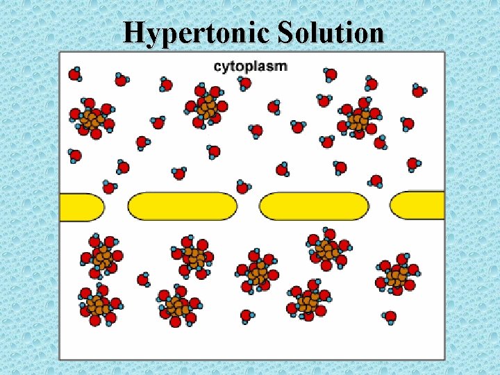 Hypertonic Solution 