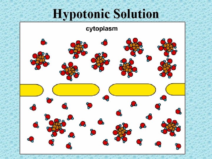 Hypotonic Solution 