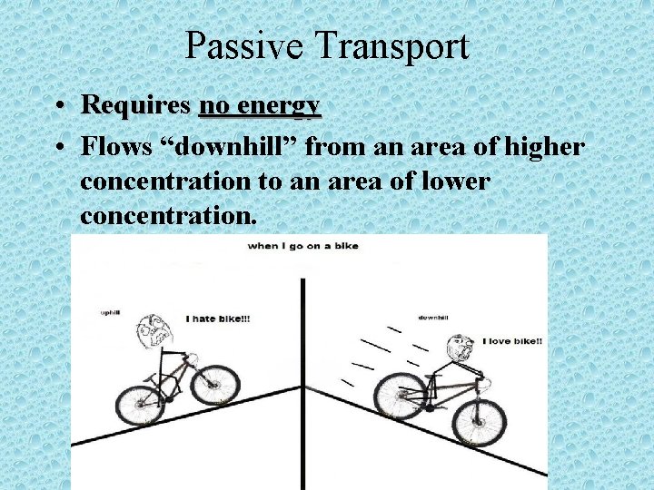 Passive Transport • Requires no energy • Flows “downhill” from an area of higher