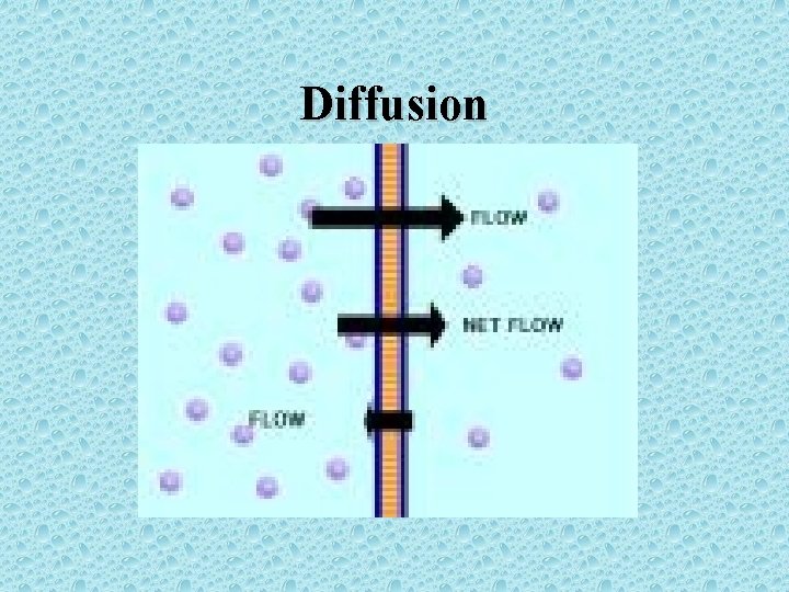 Diffusion 