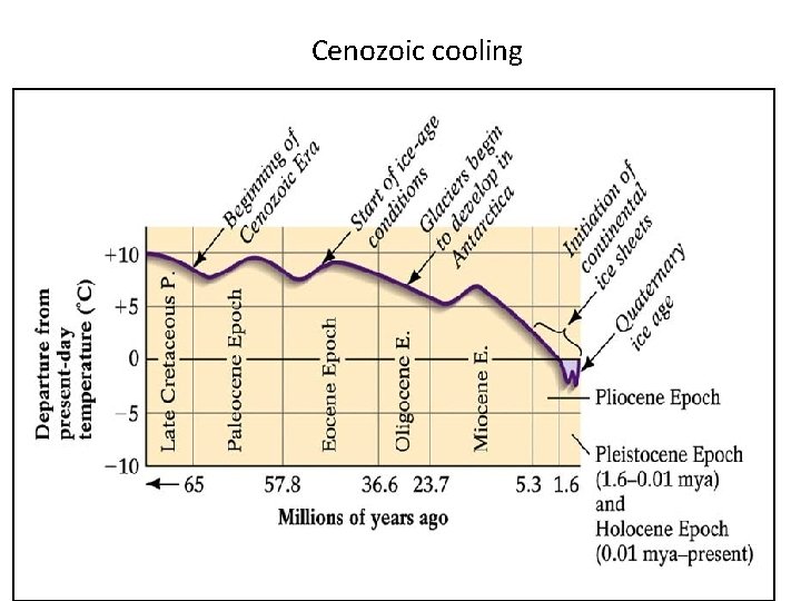 Cenozoic cooling 