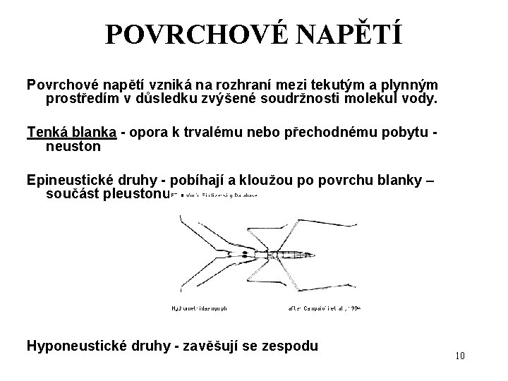 POVRCHOVÉ NAPĚTÍ Povrchové napětí vzniká na rozhraní mezi tekutým a plynným prostředím v důsledku