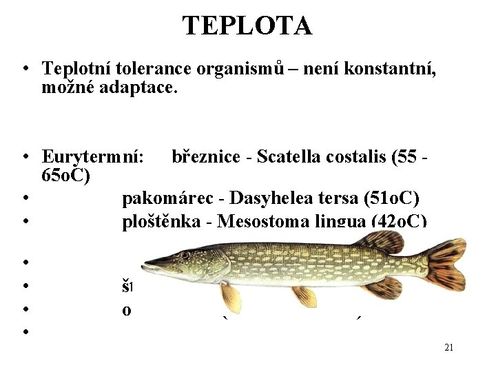 TEPLOTA • Teplotní tolerance organismů – není konstantní, možné adaptace. • Eurytermní: březnice - TEPLOTA • Teplotní tolerance organismů – není konstantní, možné adaptace. • Eurytermní: březnice -